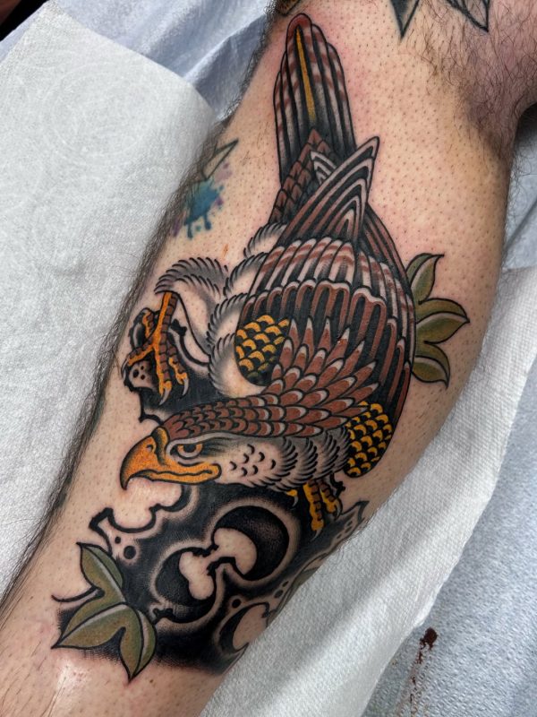 Traditional Eagle