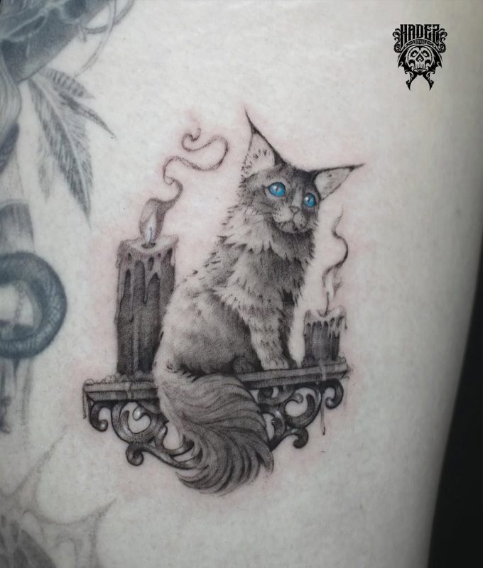Cat with Candles