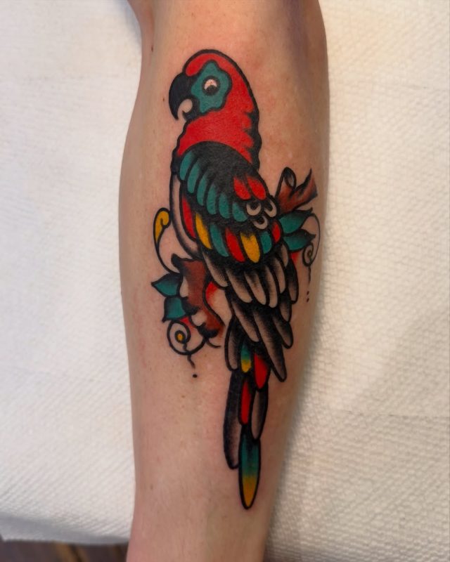 Colorful Parrot