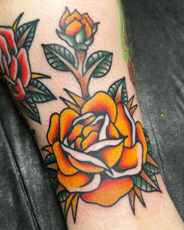 Orange Rose