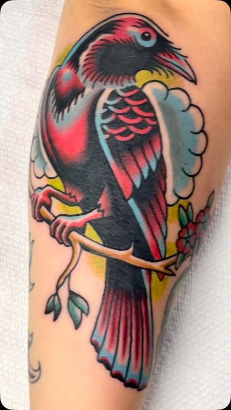 Colorful Bird