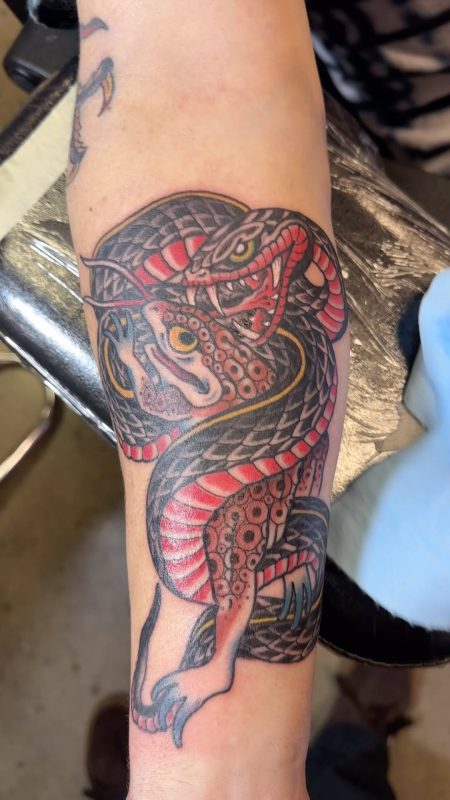 Snake and Frog