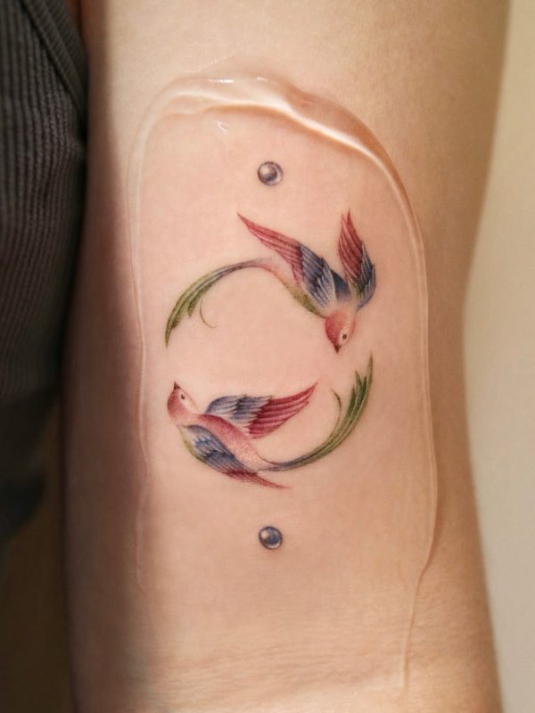 Colorful Flying Birds