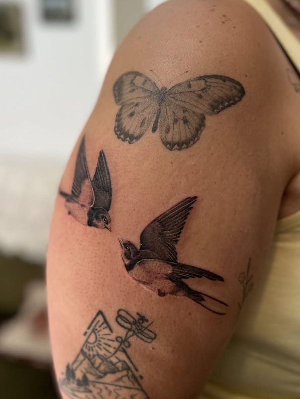 Birds and Butterfly
