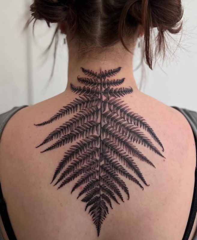 Fern Leaf