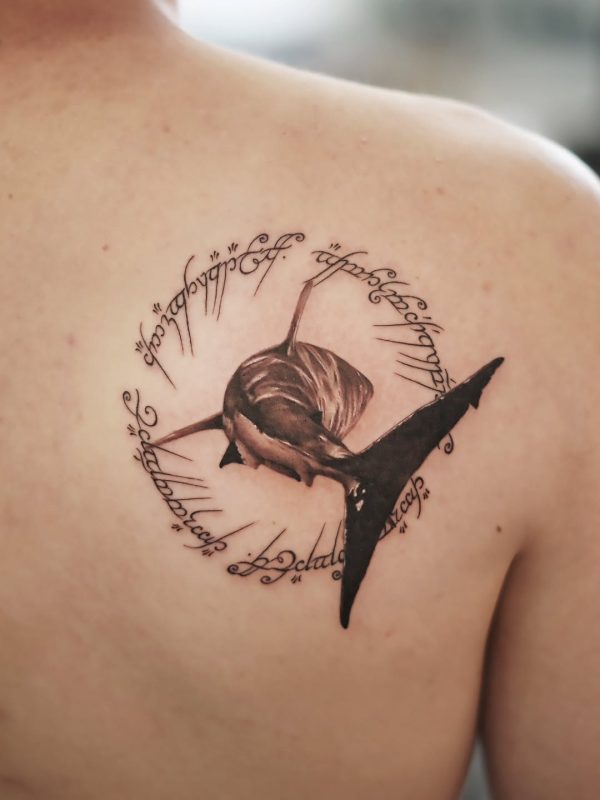 Shark Script Circle