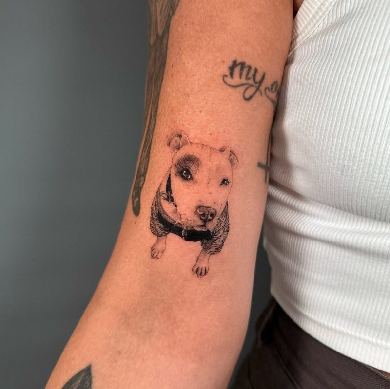 Fine Line Dog