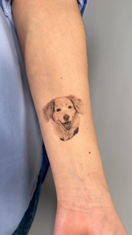Dog Portrait