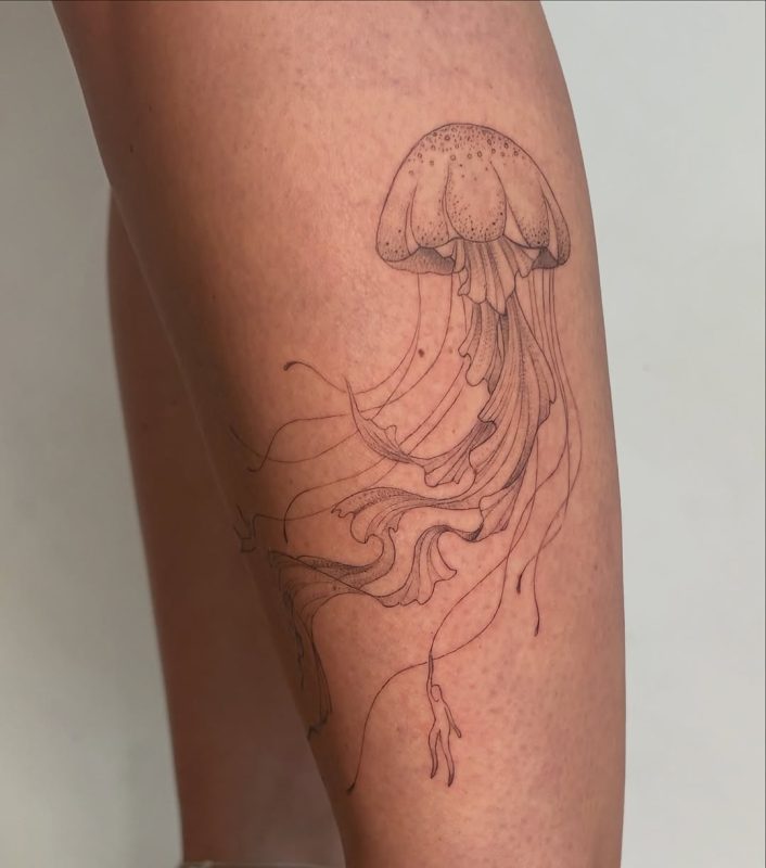 Delicate Jellyfish