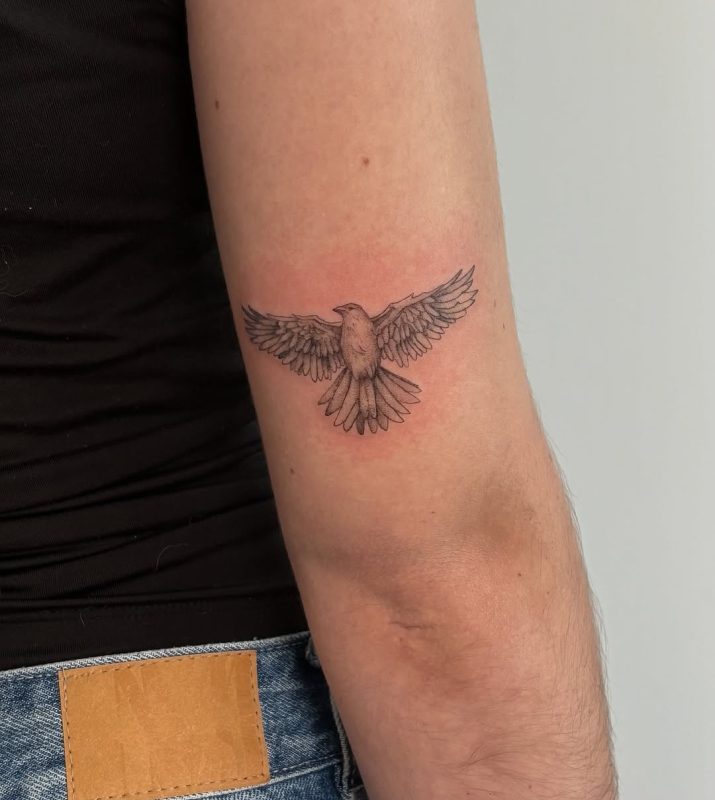 Flying Bird