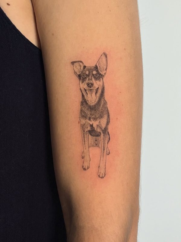 Fine Line Dog