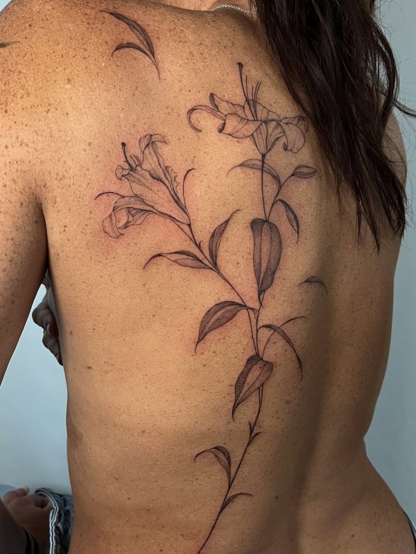 Delicate Lily
