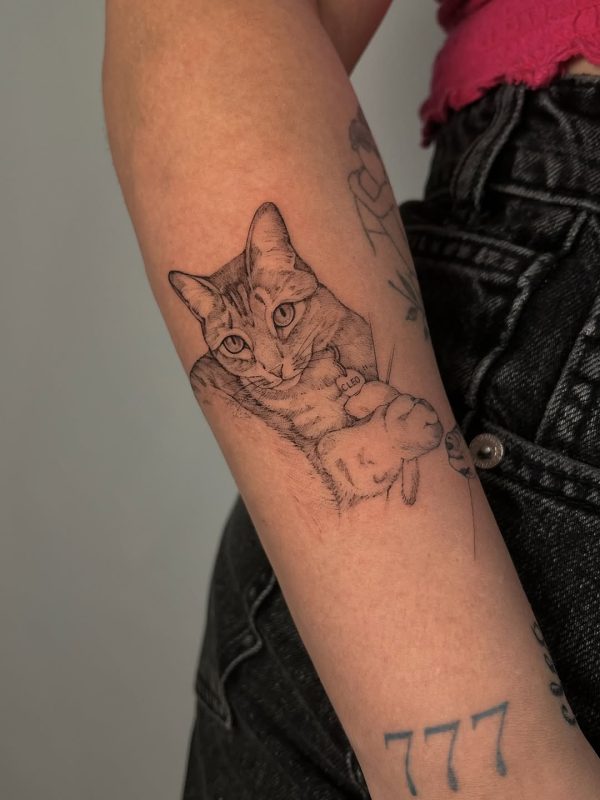 Cat Portrait