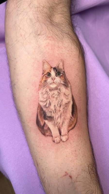 Realistic Cat