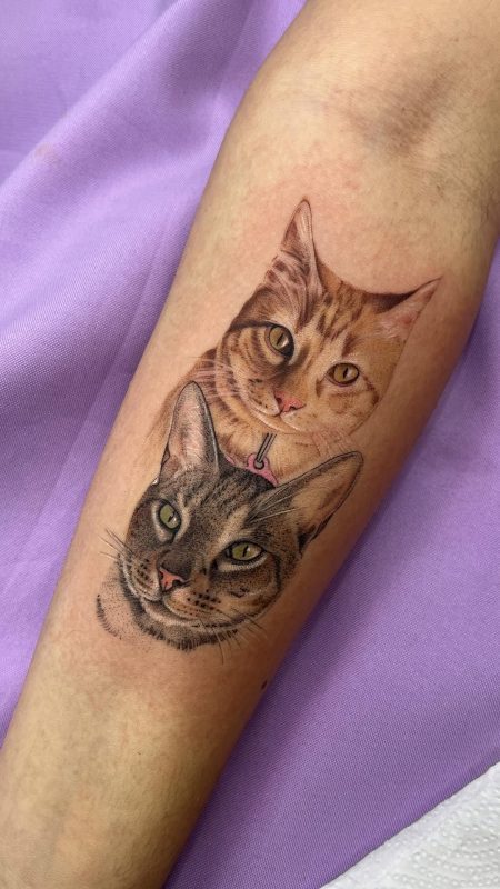 Realistic Cat Portraits