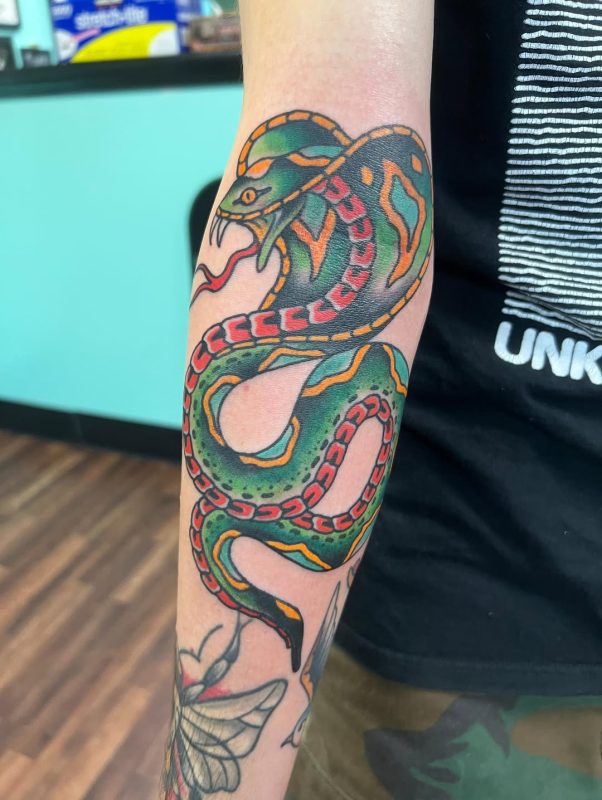 Colorful Snake