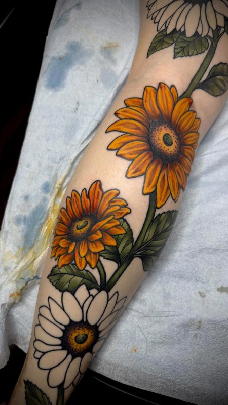 Sunflower Stem