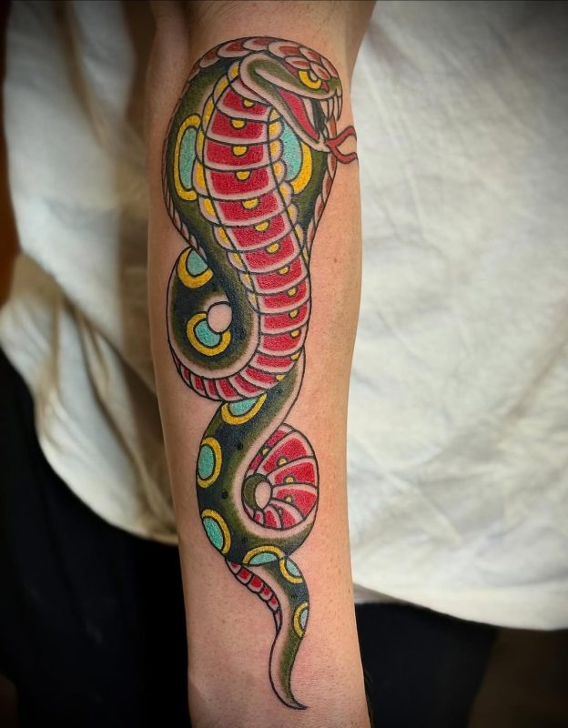 Colorful Cobra
