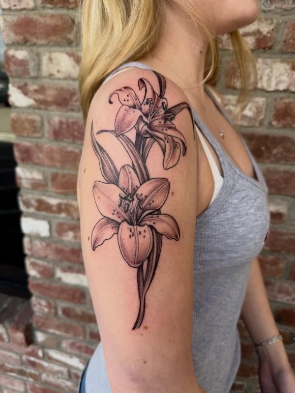 Lily Flowers