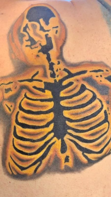 Skeleton Ribcage
