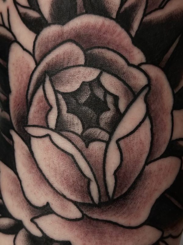Shaded Rose