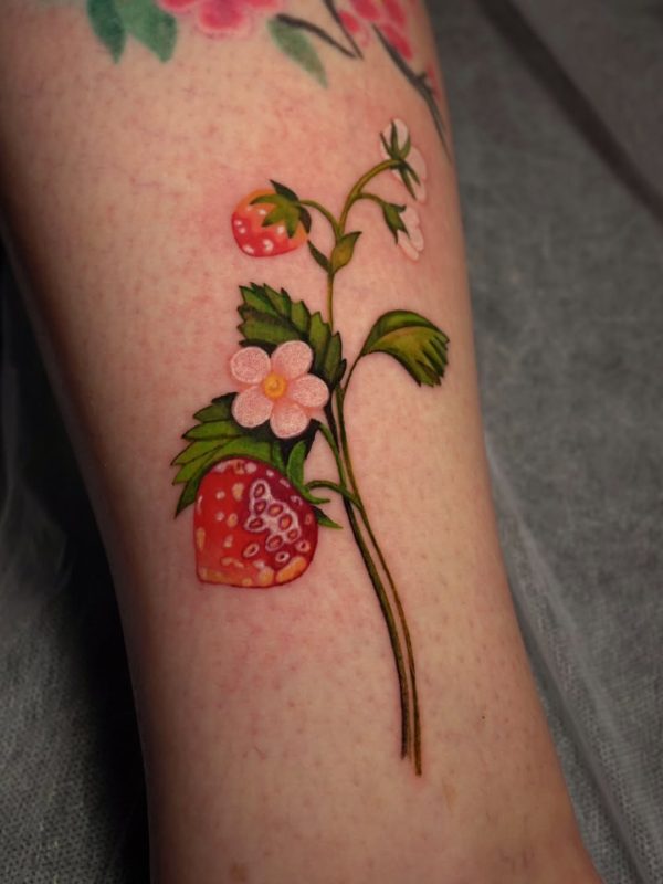 Strawberry Plant