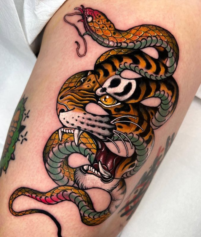 Tiger Snake