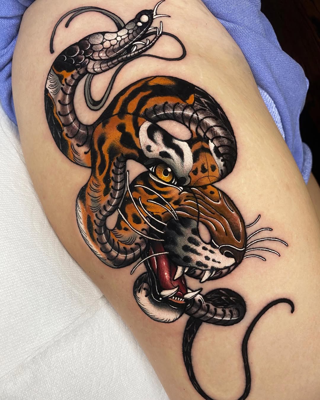 Tiger and Snake