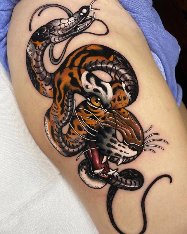 Tiger and Snake