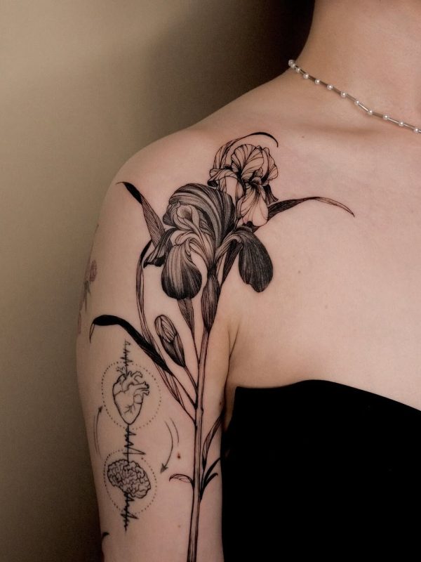 Floral Fine Line