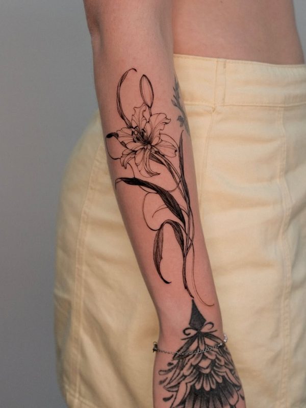 Delicate Lily