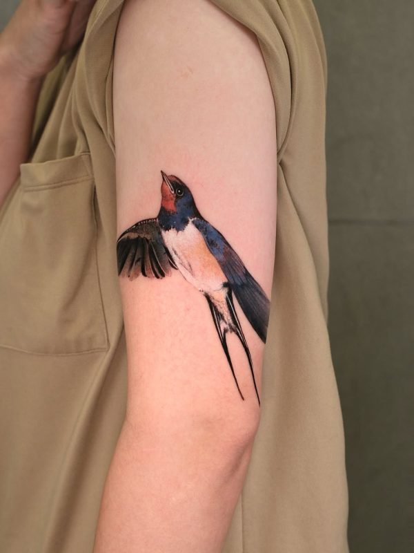 Flying Swallow
