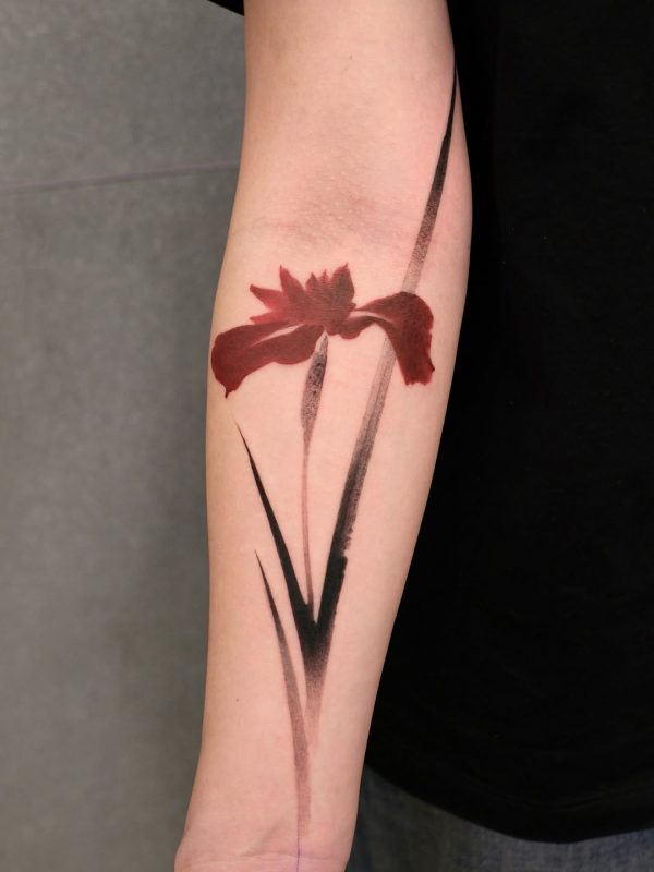 Abstract Iris