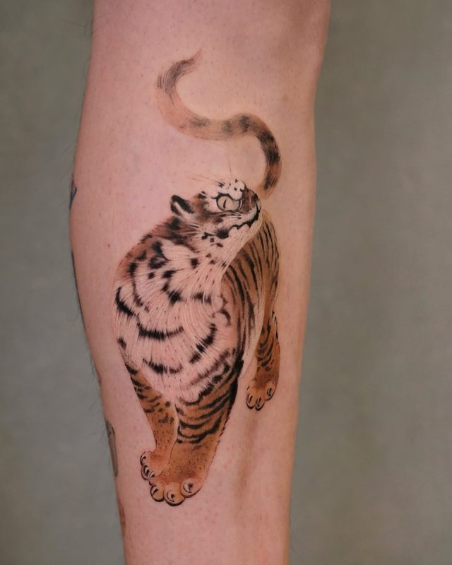 Curious Tiger