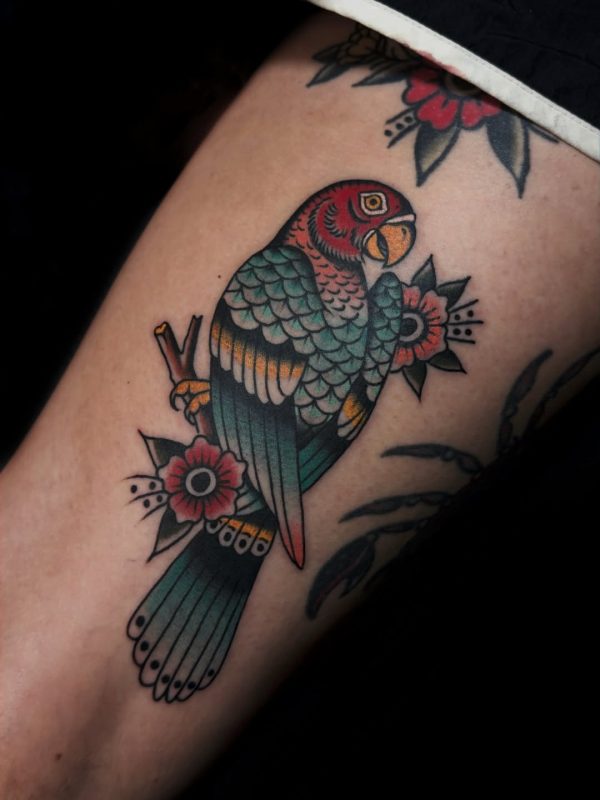 Traditional Parrot