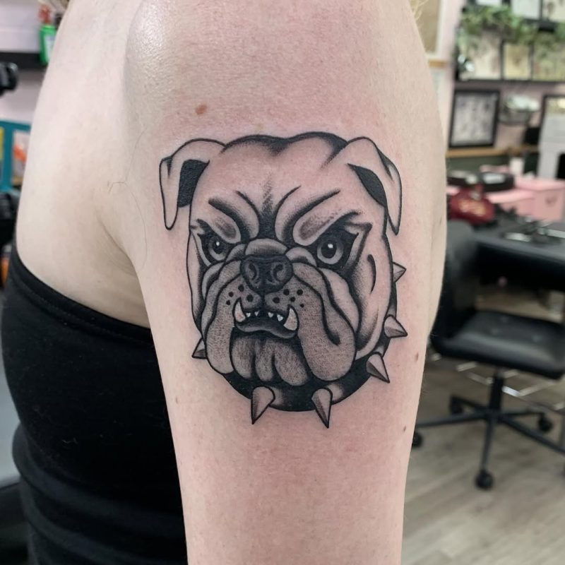 Bulldog Portrait