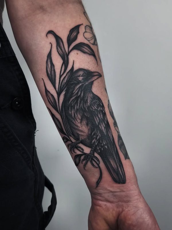 Blackbird Branch