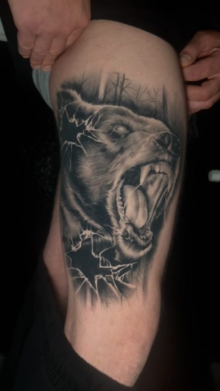 Roaring Bear