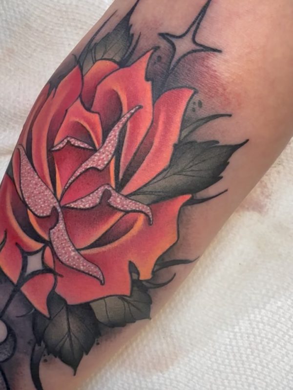 Traditional Rose