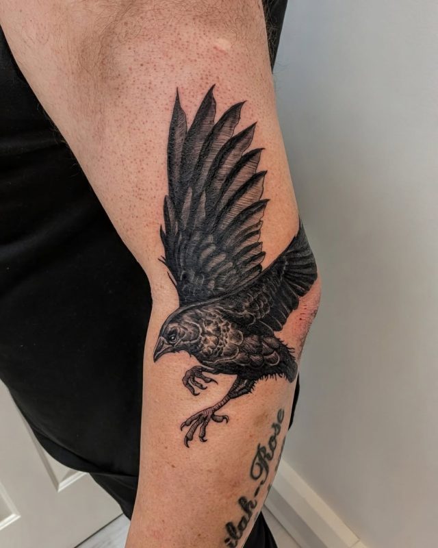 Flying Crow
