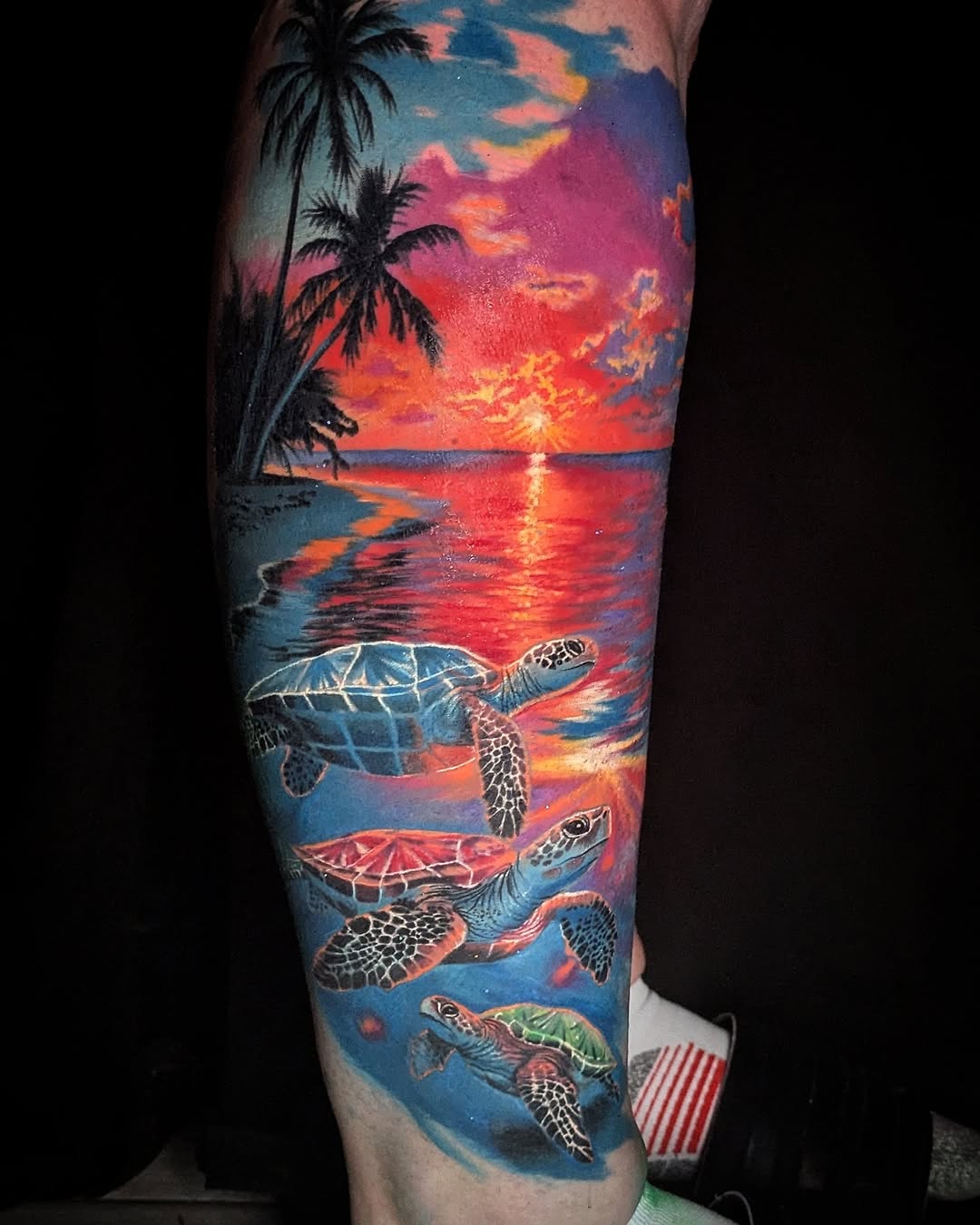 Turtle Sunset