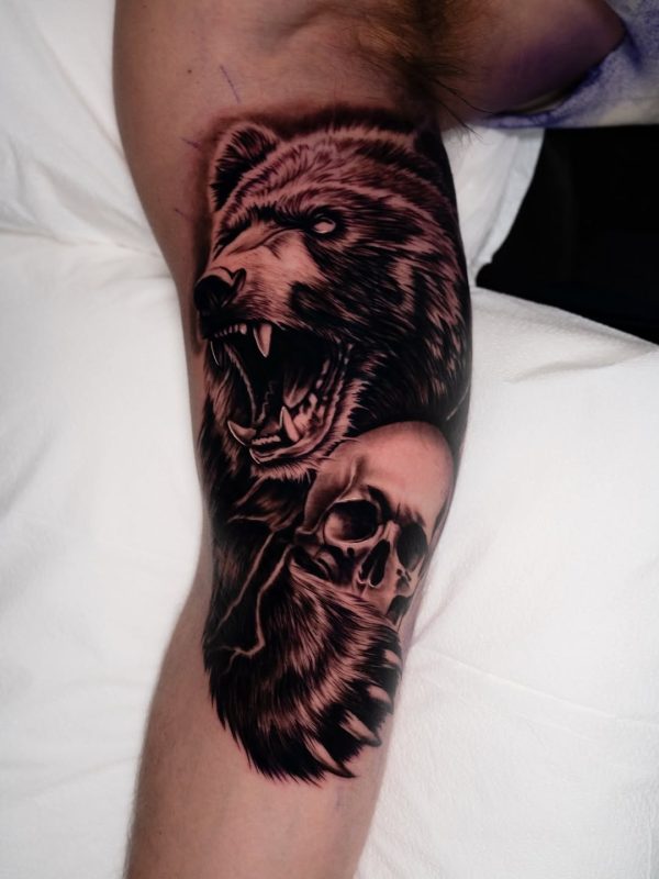 Roaring Bear Skull