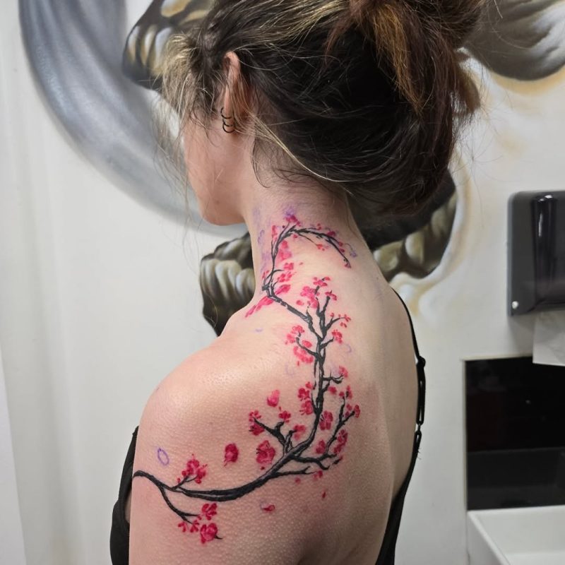 Cherry Blossom Branch
