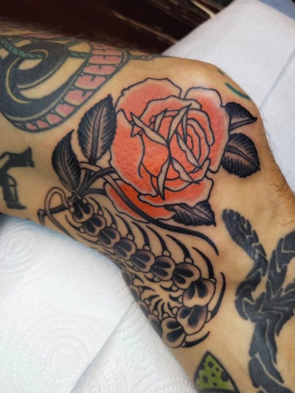 Red Rose