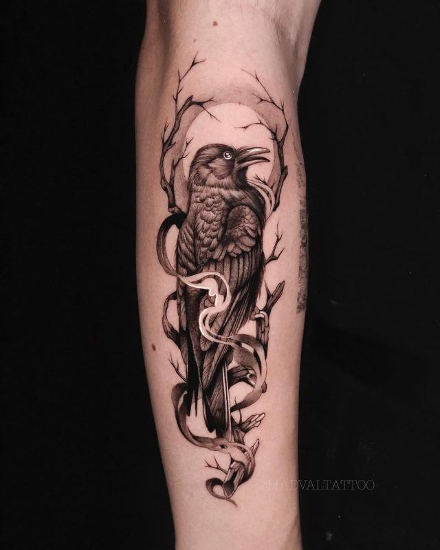 Raven on Branch