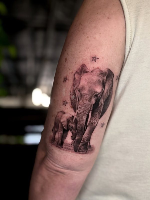 Elephant Family