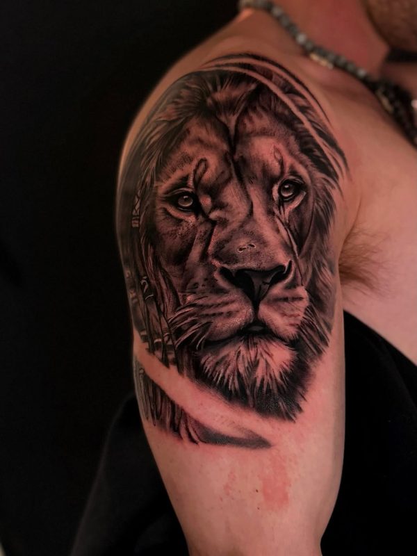 Lion Portrait
