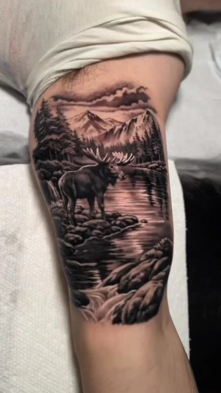 Moose Mountain Scene