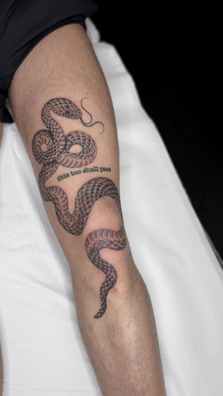 Black Gray Snake