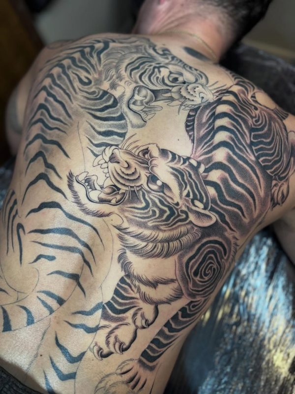 Fighting Tigers